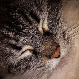 Meet your Posher, Trish